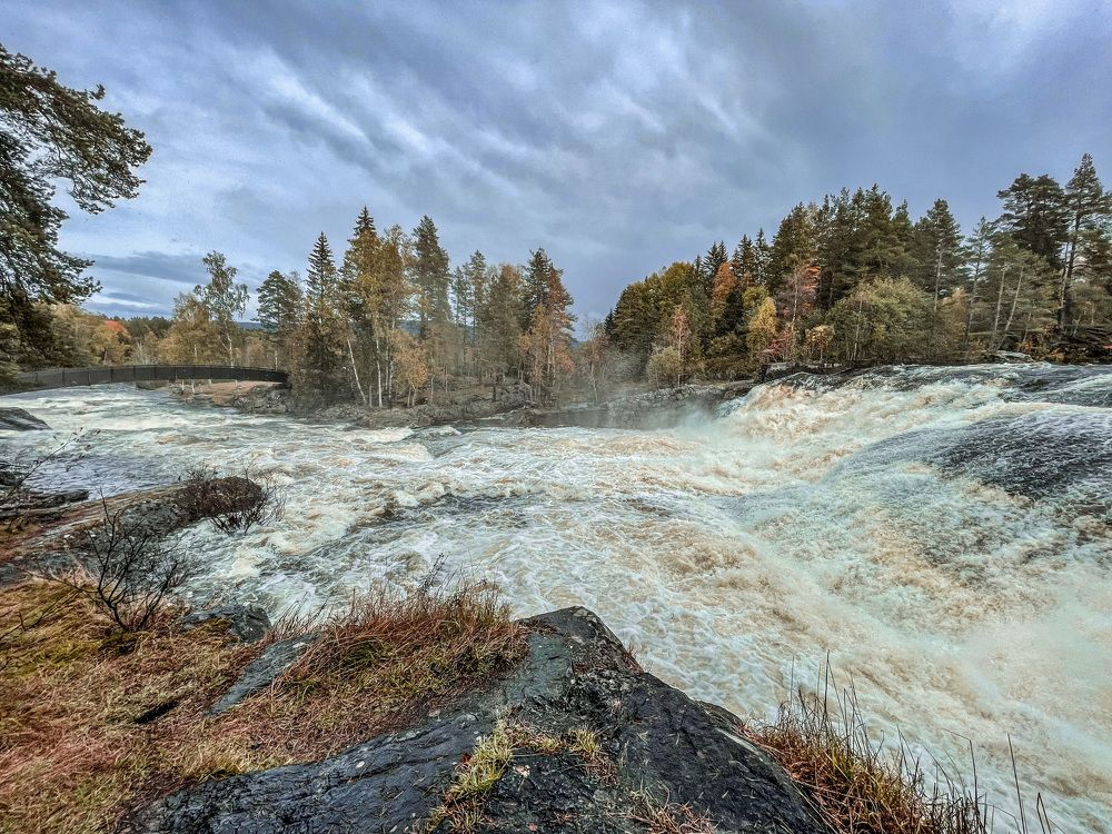 Фотография автора Anna NovaLova