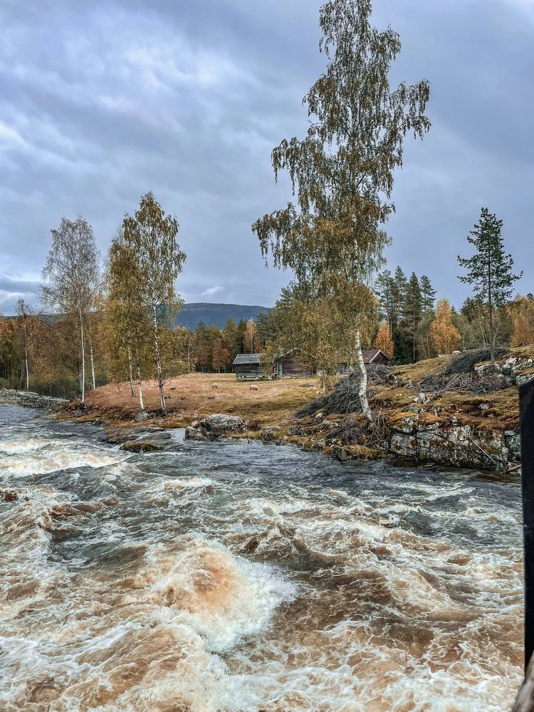 Фотография автора Anna NovaLova