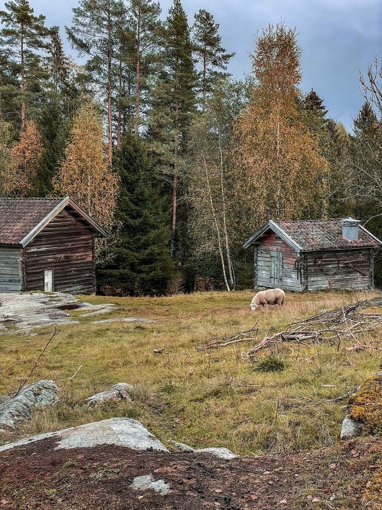 Фотография автора Anna NovaLova