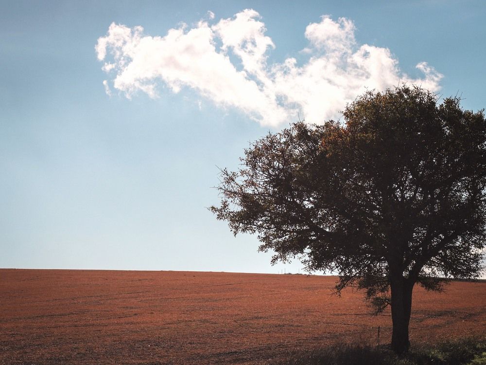 Photograph by Giuseppe Catalano