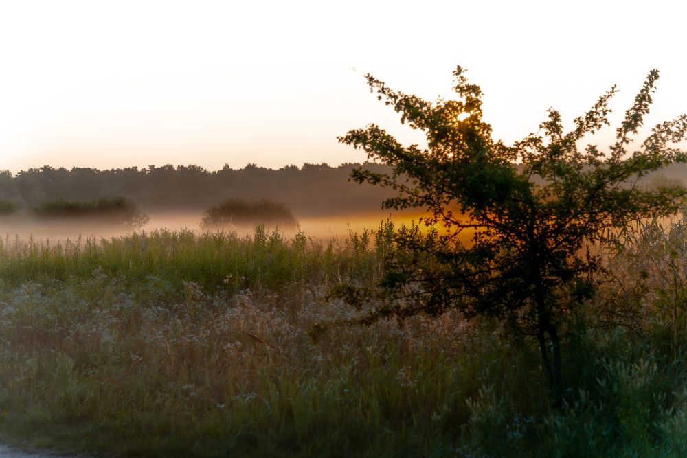 Photograph by Дмитрий Урюпин