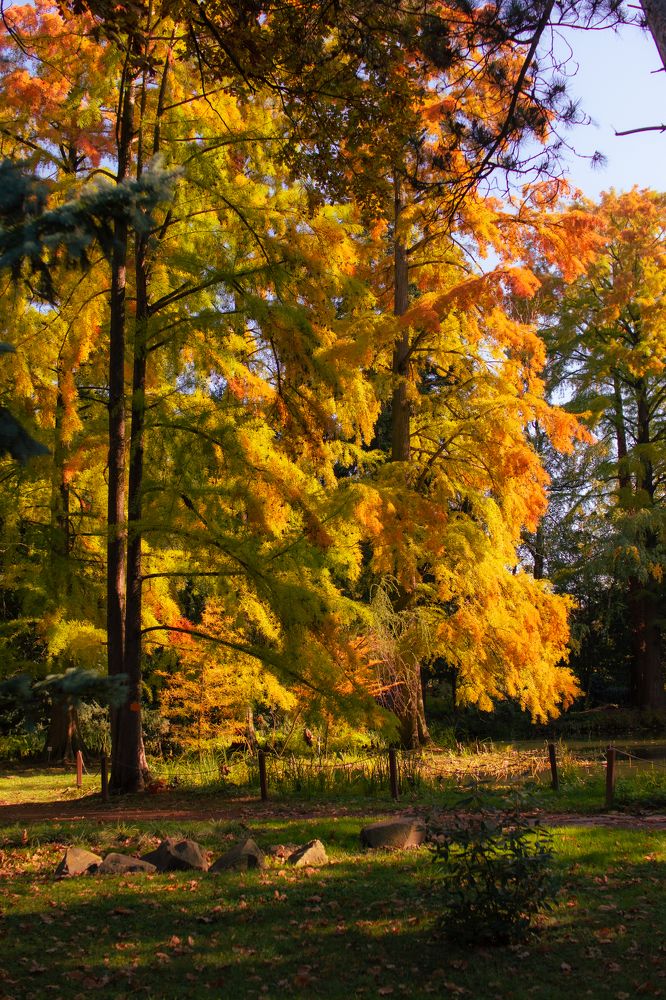 Фотография автора Amir H. Bakhtiari