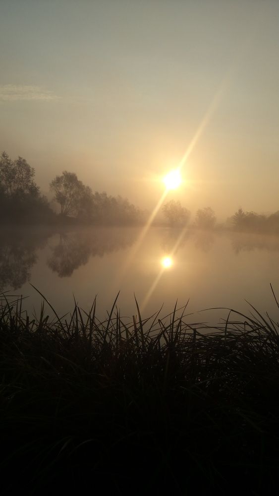 Фотография автора Николай Замковой
