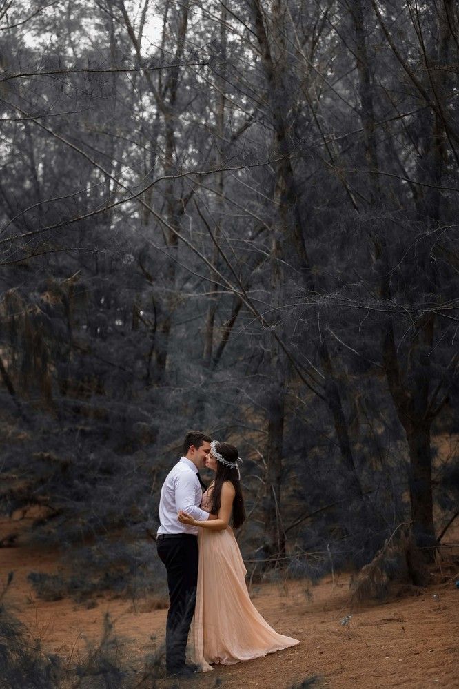 Фотография автора Meg Leite