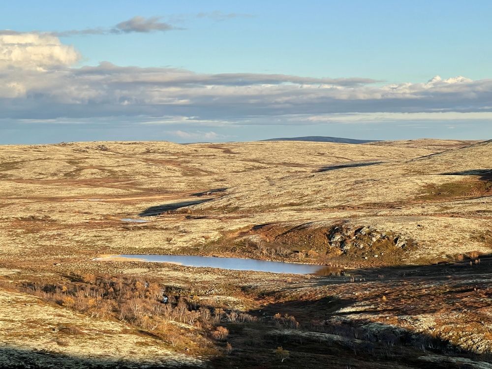 Фотография автора Юлия Шумейко