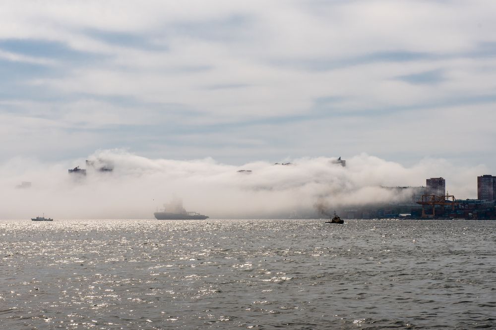 Photograph by Евгений Моляшов