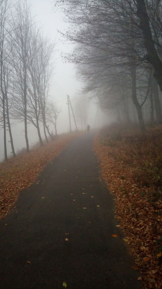 Фотография автора Николай Замковой