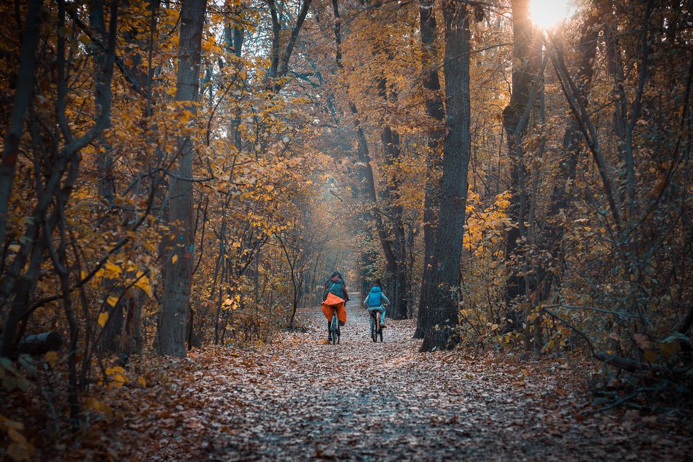 Photograph by Radoslav Bonev