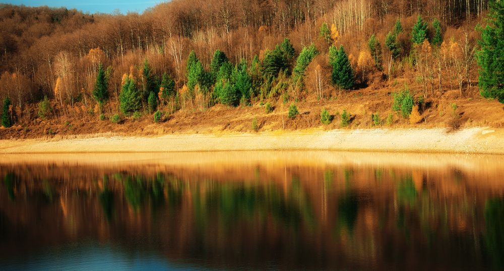 Photograph by Dragan Trosic