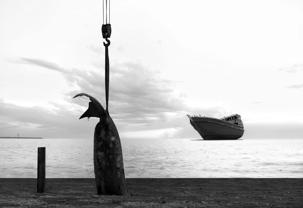 Photograph by abbas valadi