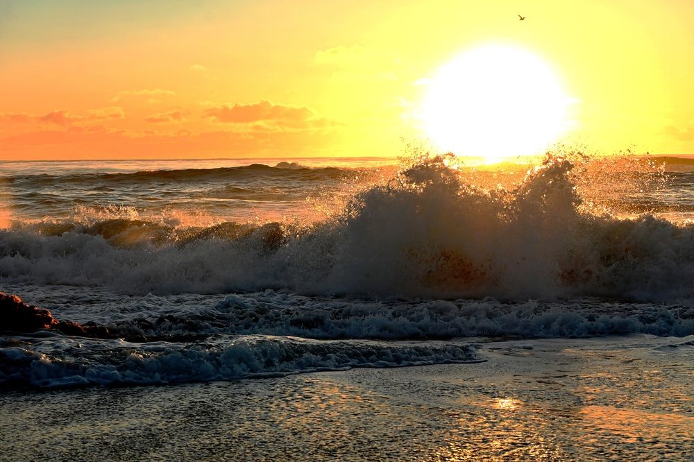 На гребне волны