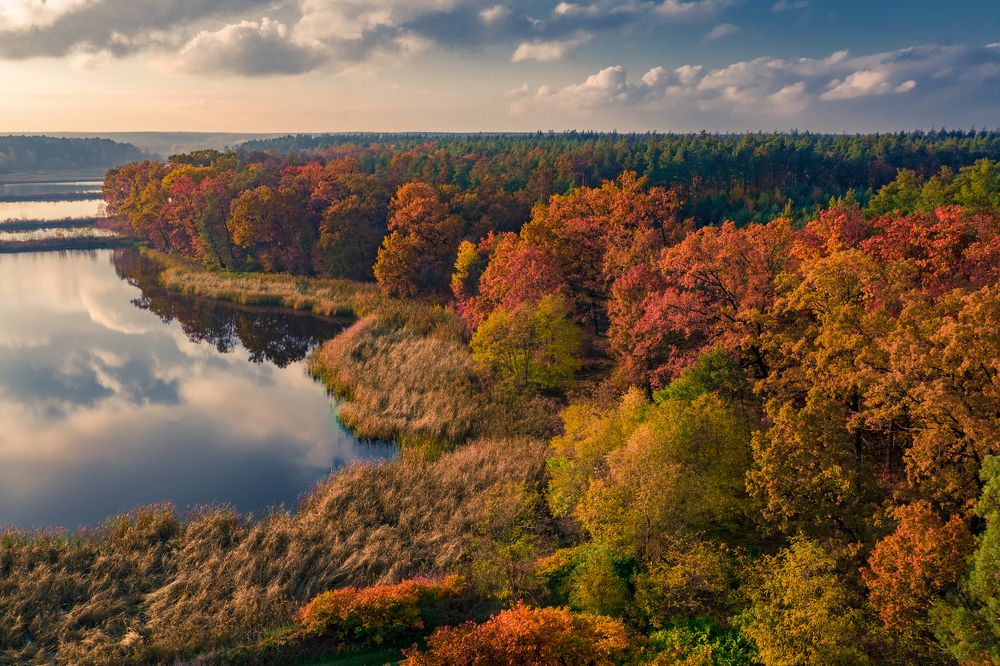 Photograph by  Serhii