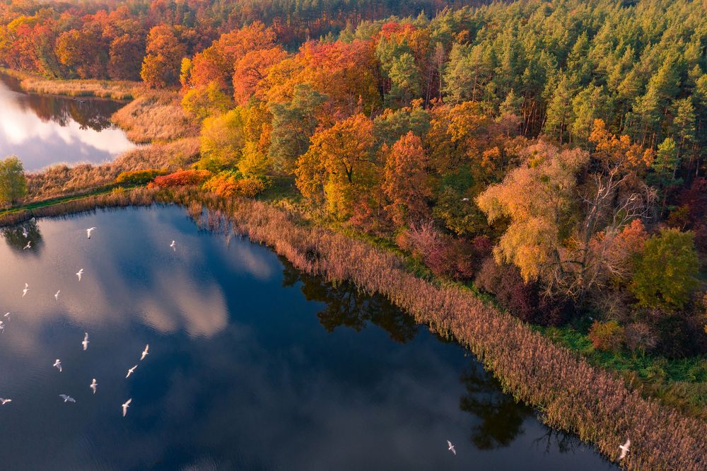 Photograph by  Serhii