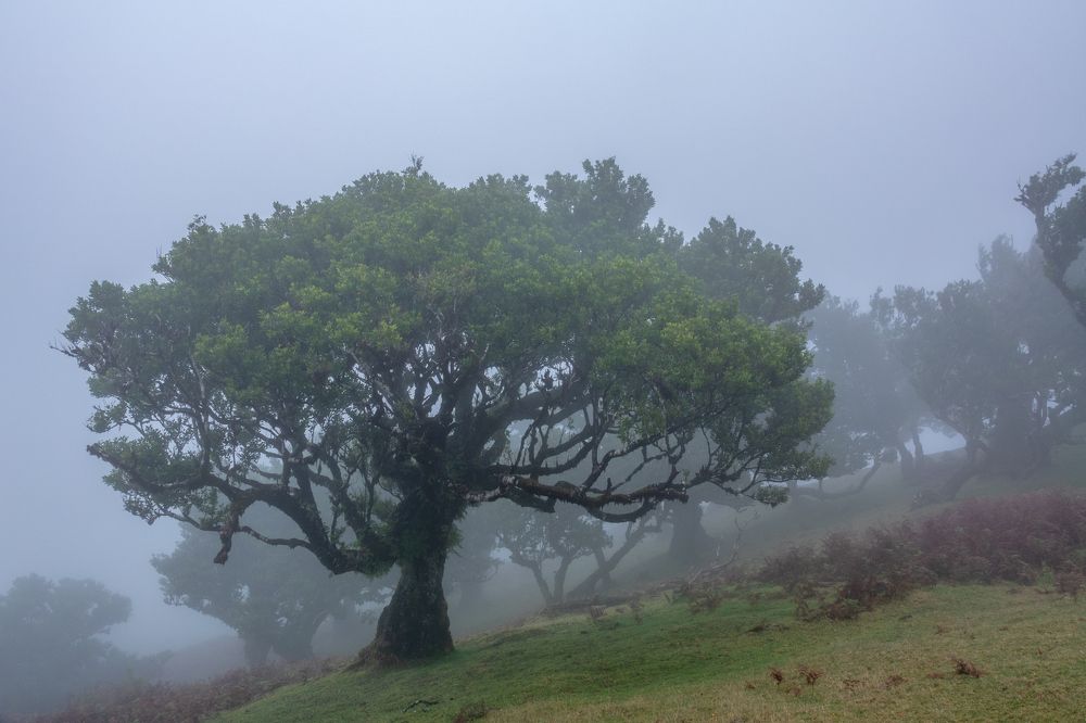 Photograph by  Serhii