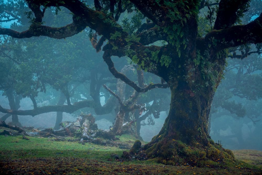 Photograph by  Serhii