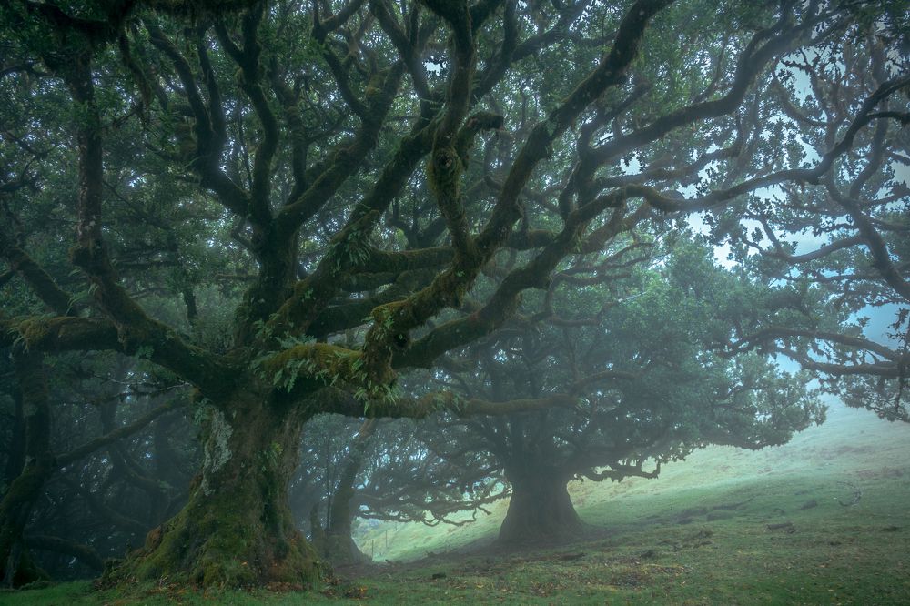 Photograph by  Serhii