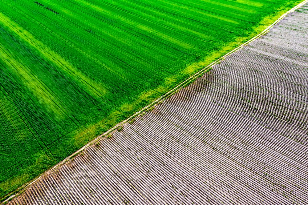 Photograph by  Serhii