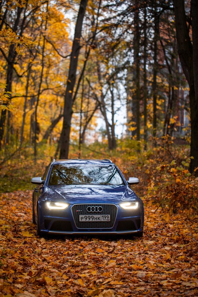 Audi RS4 в усадьбе Быково
