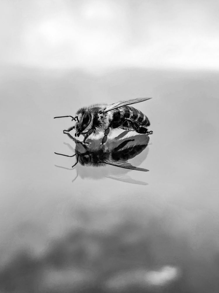 Photograph by Алан Гасымов