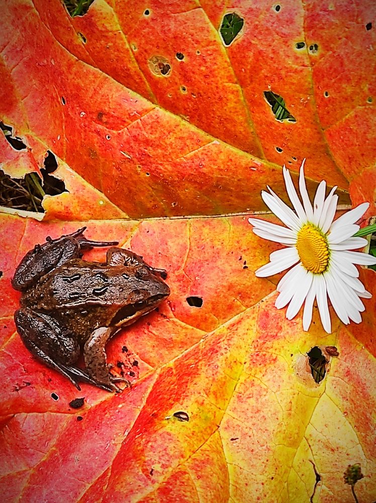 С ДОБРЫМ УТРОМ !