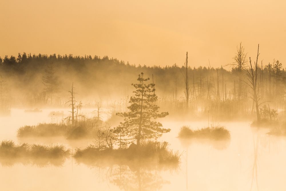 Photograph by Eriks Zilbalodis