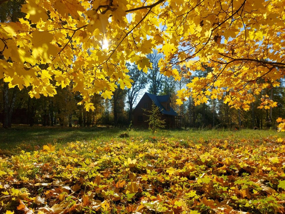 Photograph by Валерий Савостьянов