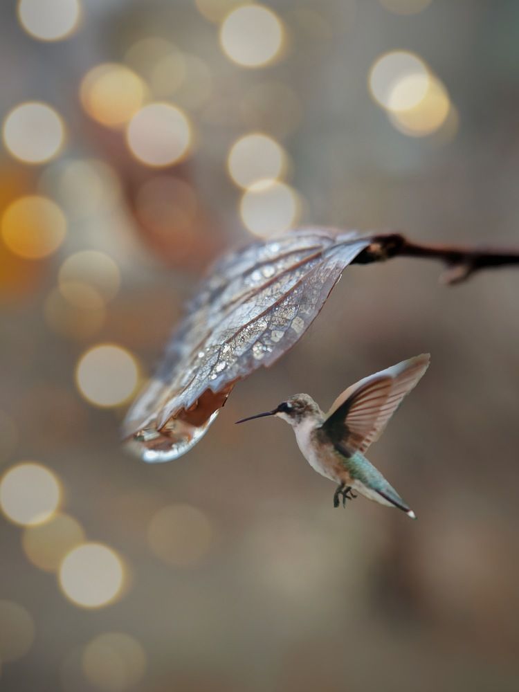 Photograph by Светлана Смирнова