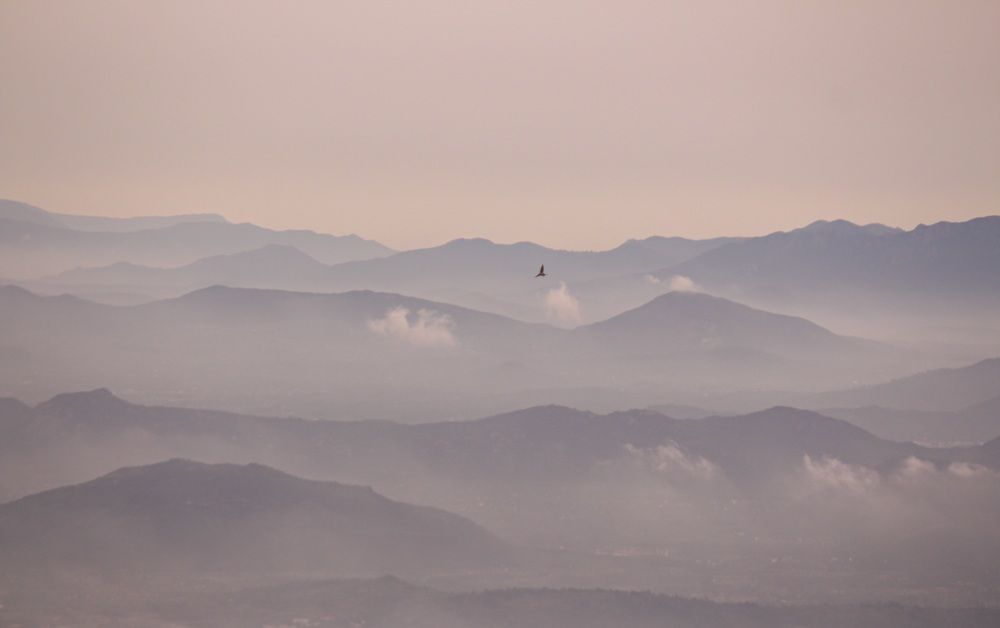 Photograph by Mathew Nishanth