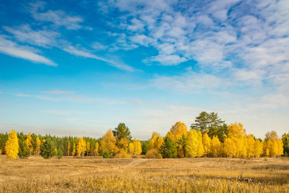 Photograph by Сергей Пашнов