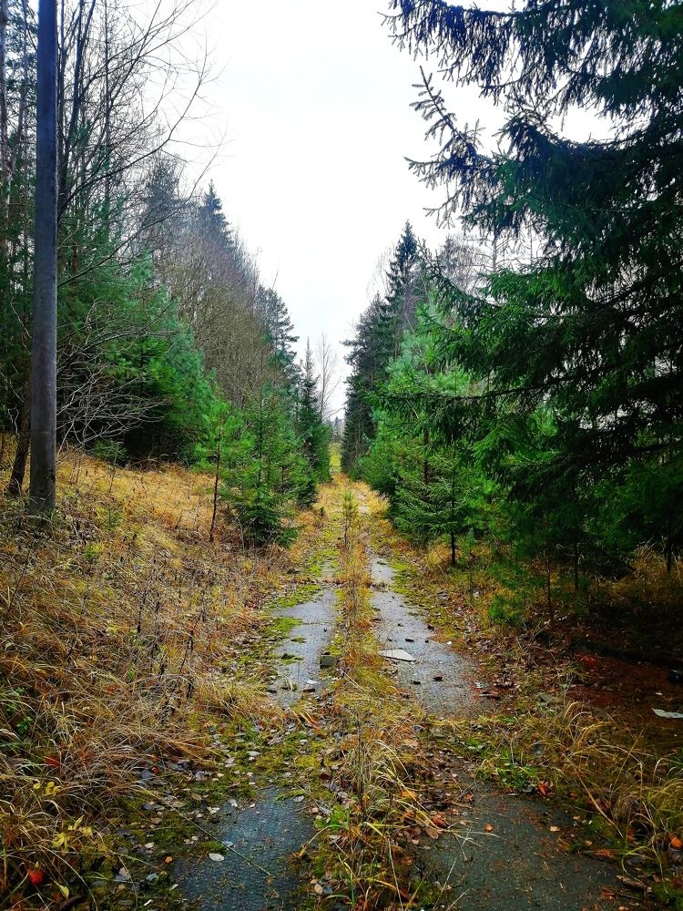 Photograph by Елена Лепешкина