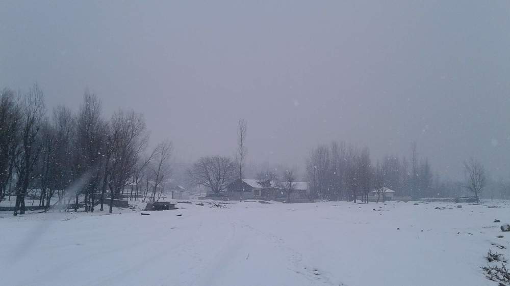 Photo #6738575