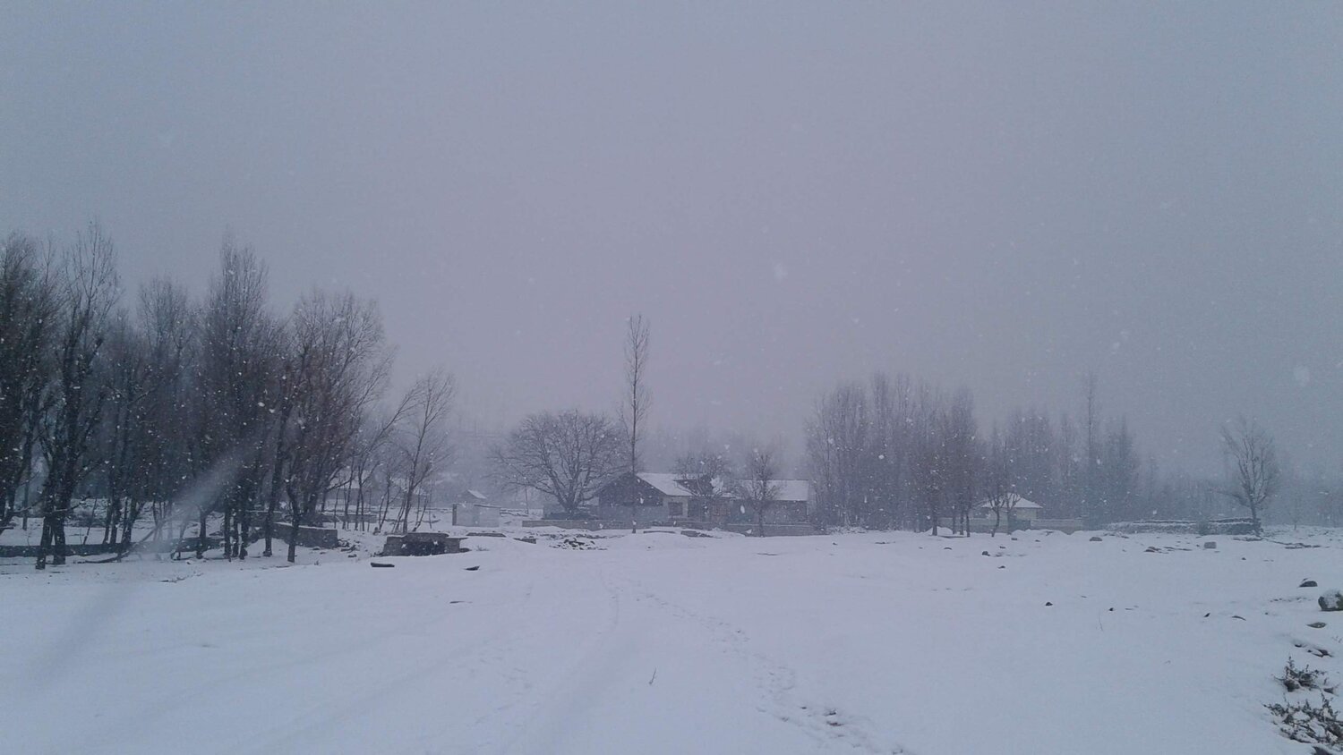Photo #6738575