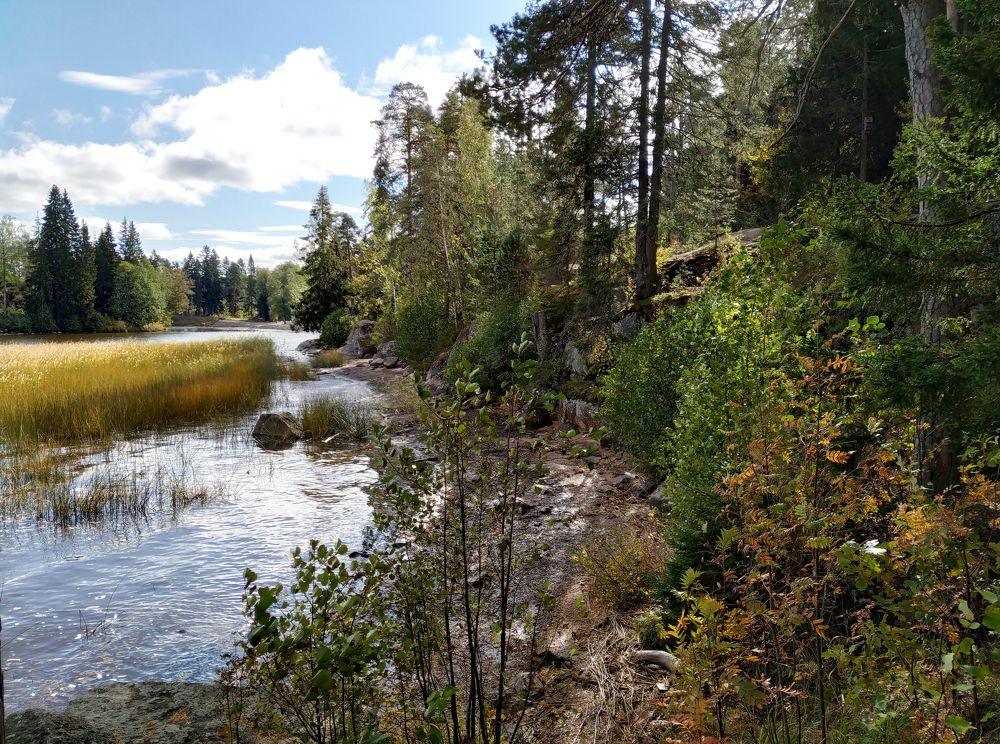 Photograph by Владимир Спиридонов