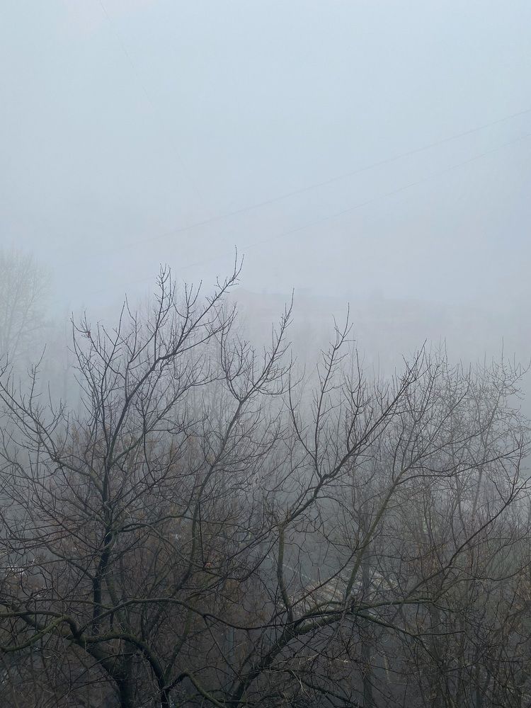 Фотография автора Кирилл Литовский