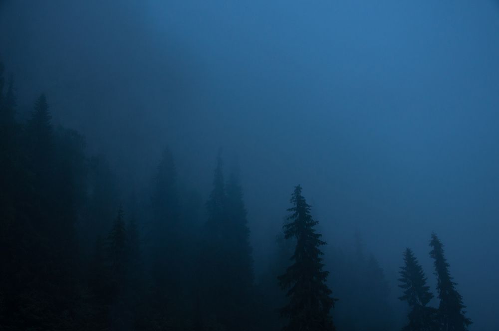 Photograph by Николай Полыгалов