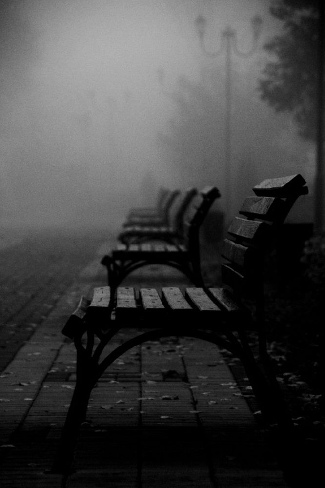 Photograph by Александр Карасев