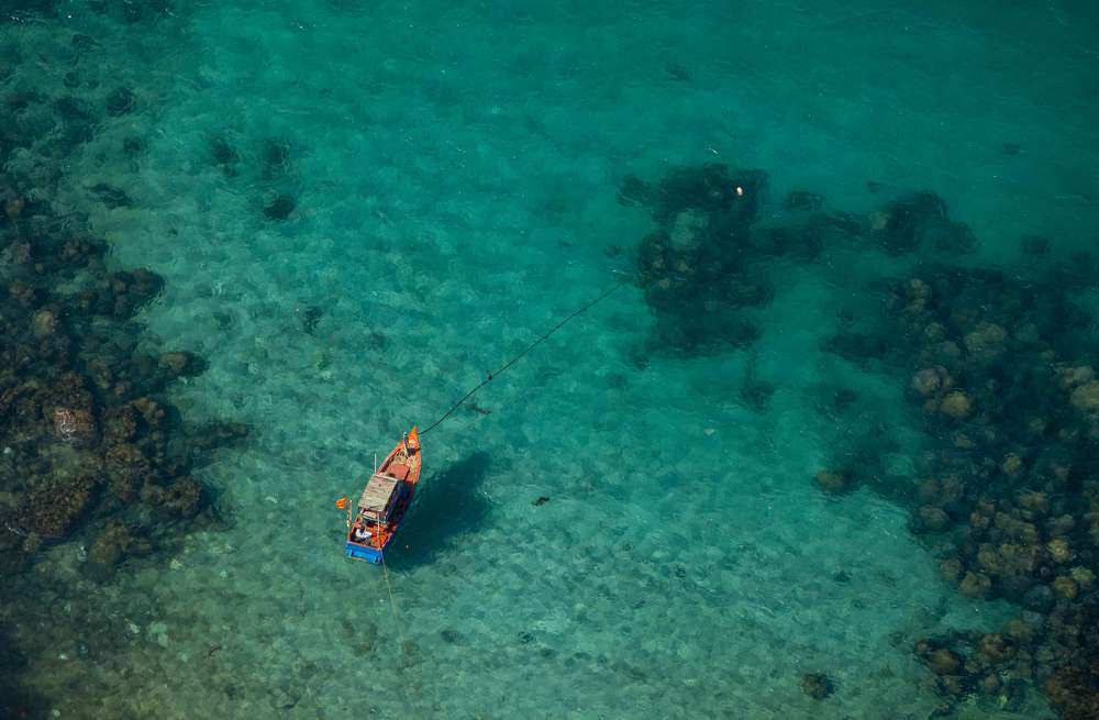 Photograph by nguyễn minh