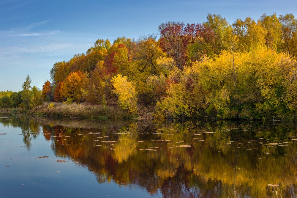 Осенняя палитра