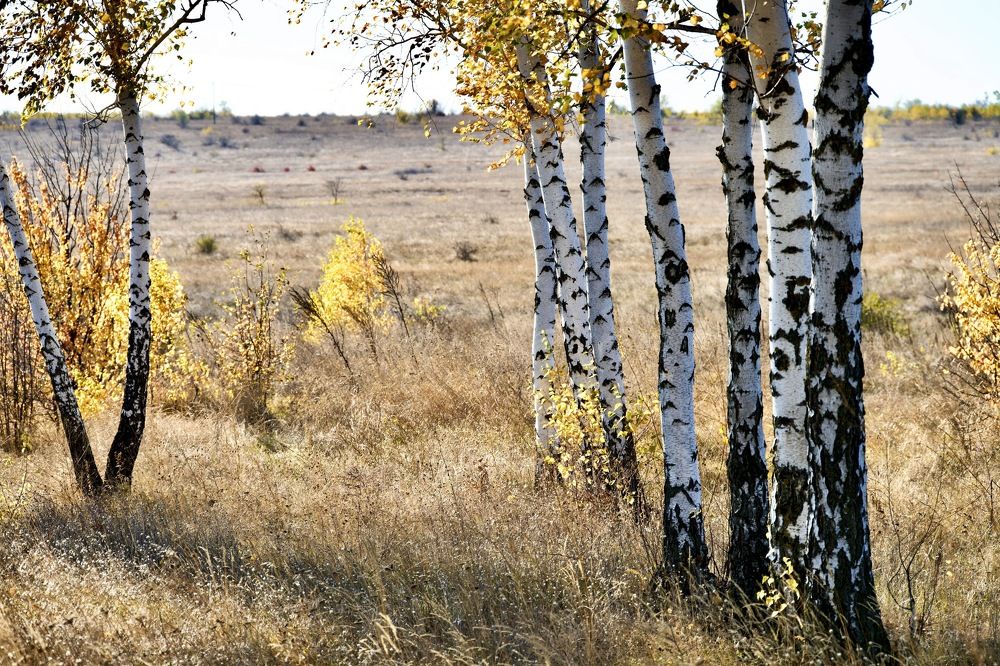 Photograph by Наталья Пирогова