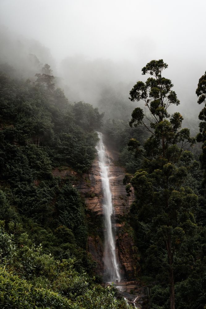 Photograph by Kalpa Chathuranga