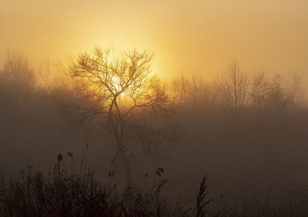 Photograph by Sergey Tsubanov