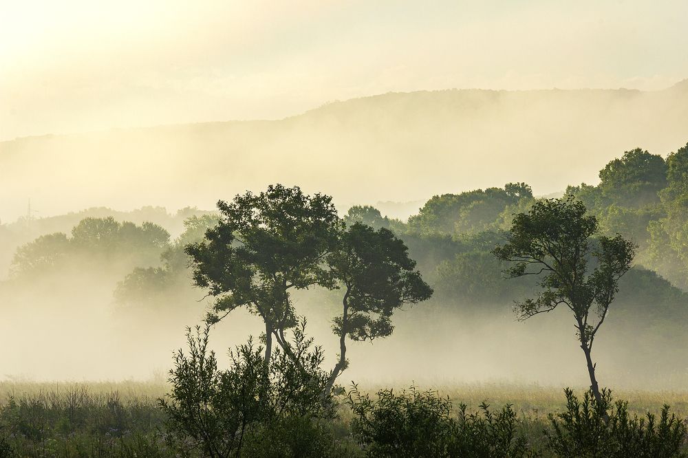 Photograph by Sergey Tsubanov