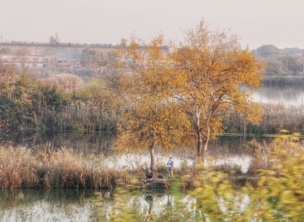 Photograph by Алексей Кроль