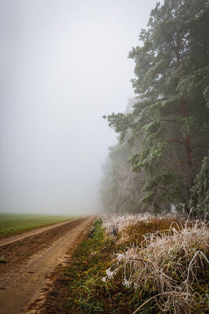 Photograph by Владимир Коновалов