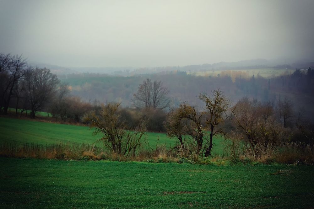 Photograph by Iryna Petrenko