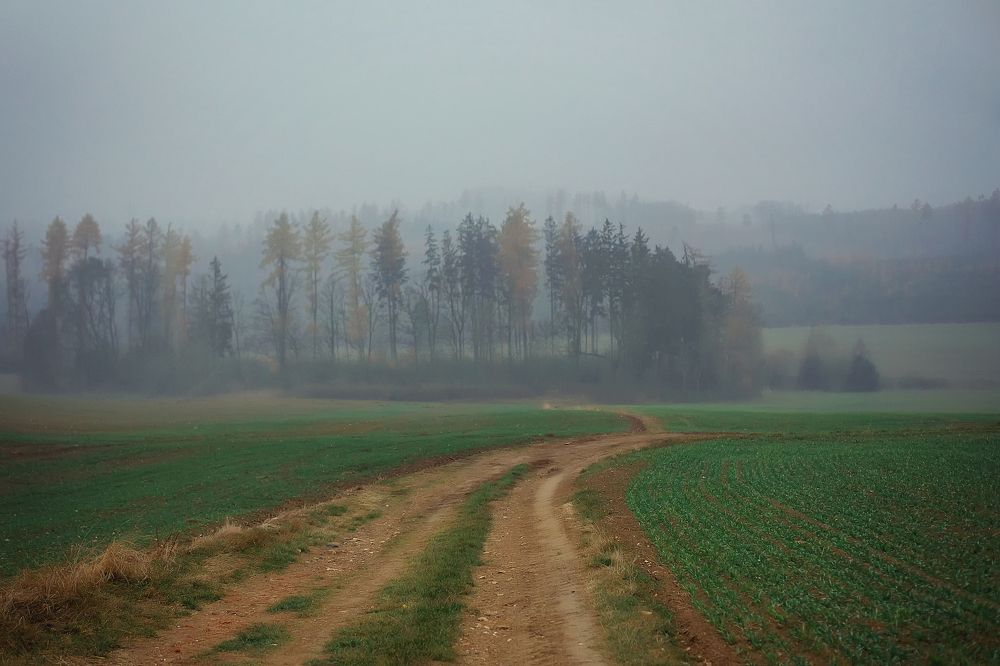 Photograph by Iryna Petrenko