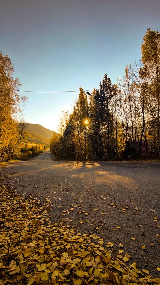 Photograph by Александр Амелин