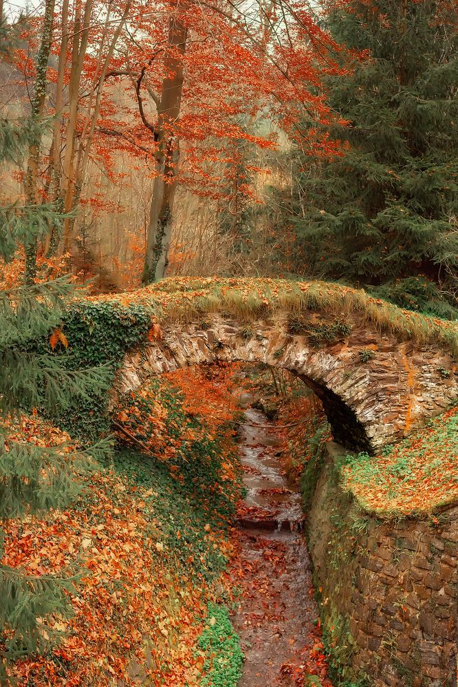 Photograph by Iryna Petrenko