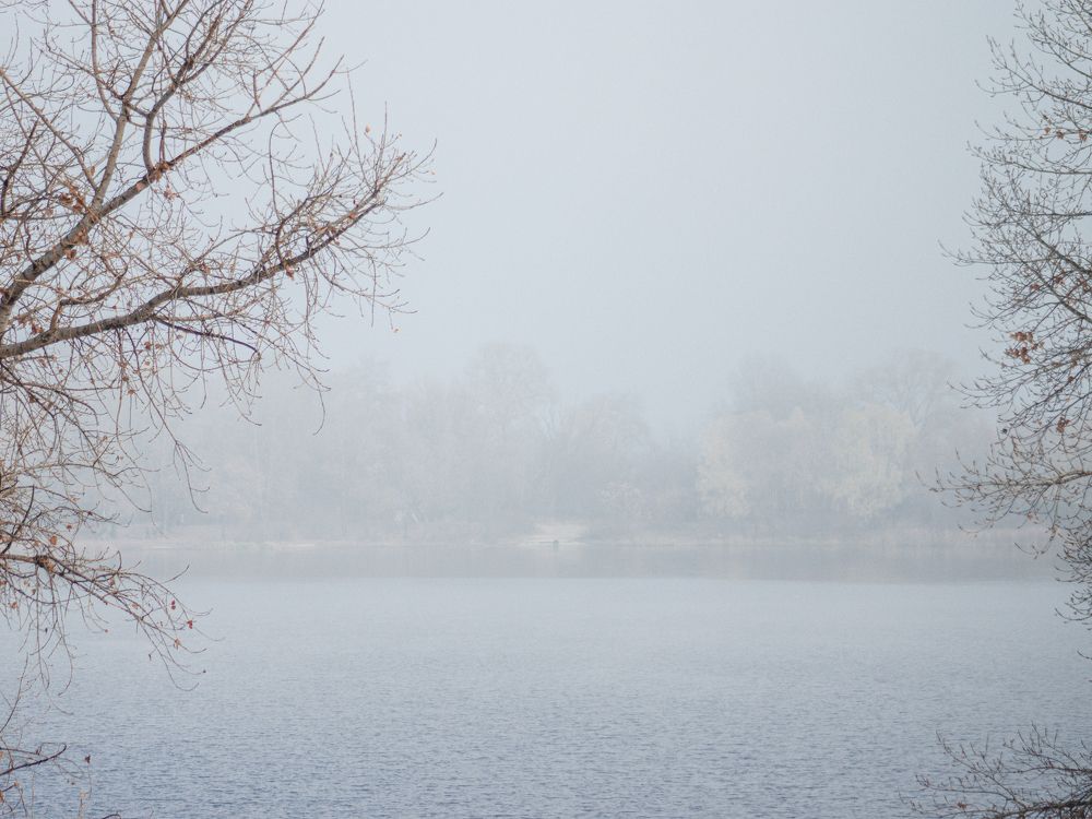 Photograph by Liudmila Kirillova