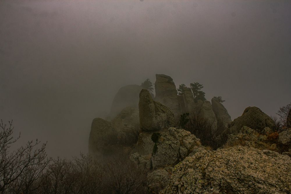 Photograph by сергей паршиков